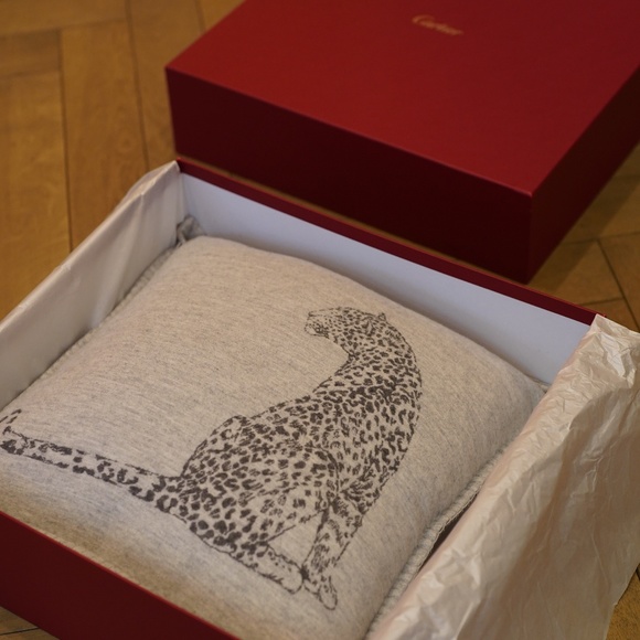 Cartier Cashmere Cushion (Pair) in Soft Gray - Original Box - MSRP $1398 - BNIB - Picture 2 of 6